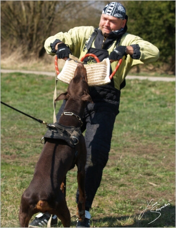 Training in Prague - 2. 4. 2008